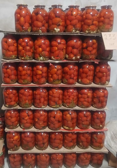 Маринованные помидорыы