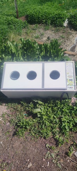 Инкубатор для яиц