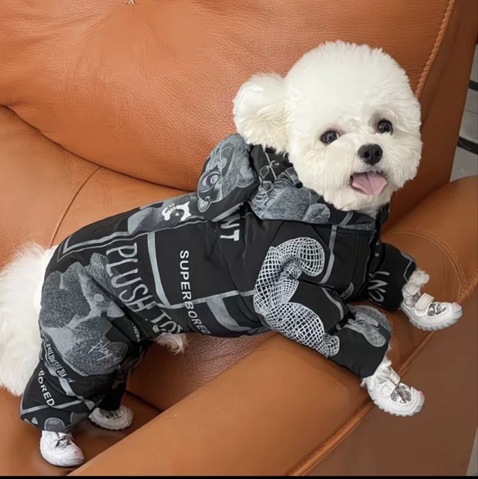 Одежда для собак