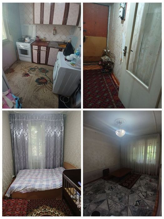 Мирзо Улугбек аренда семя и студентов