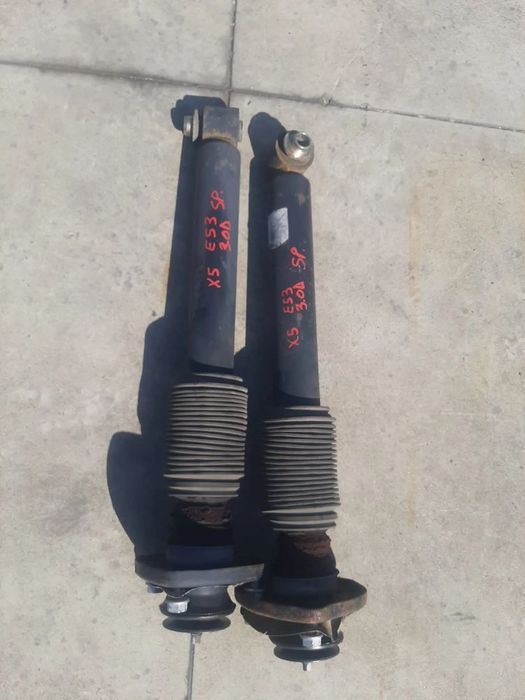 set amortizoare telescoape spate 3.0 d  bmw x5 e53 33526751543