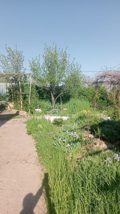 Продам 2 дома селекция