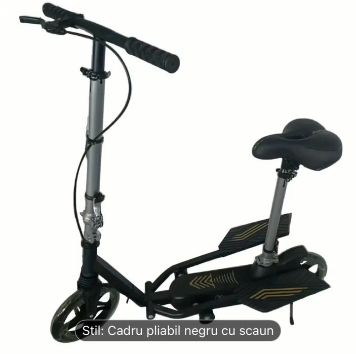 Trotineta……………..