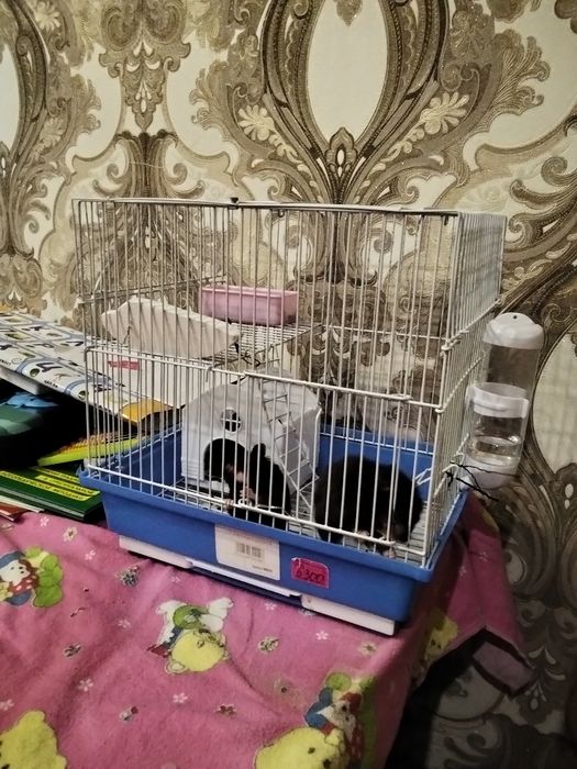 Продам клетки для хомяков
