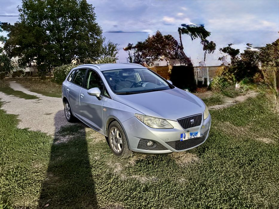 SEAT Ibiza 2011 — imagine 3