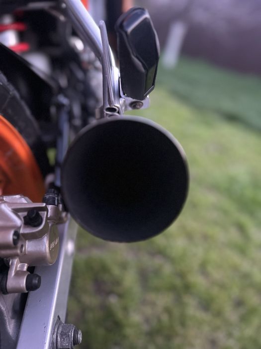 Cap de toba Dejukevic de vanzare