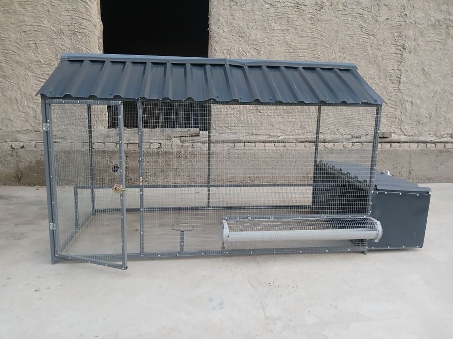 Tavuq kataklar zakazga