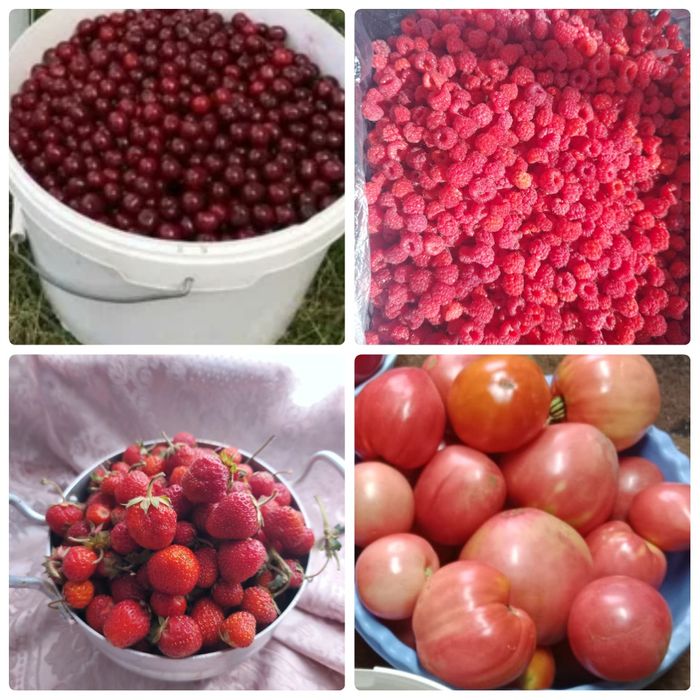 Продается 1/2 дома.Срочно.Торг