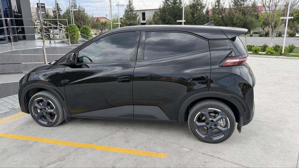 BYD Seagull 2025