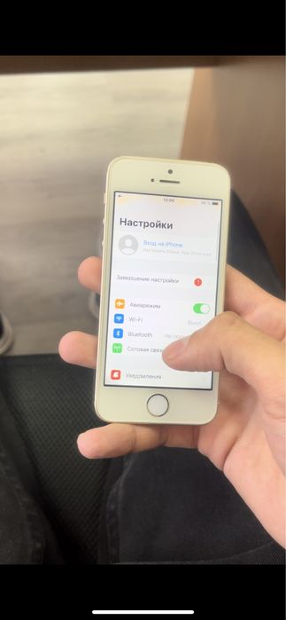 Iphone SE 1 81% акб