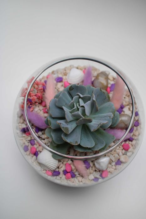 Флорариум с езеро - подарък за рожден ден и др поводи