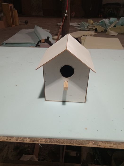 Qushga uya xohlagan turdagi