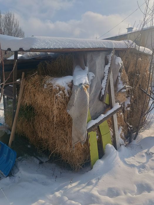 Клевер сухой в тюках