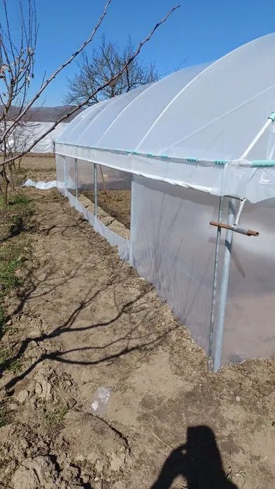 Solarii legume și flori