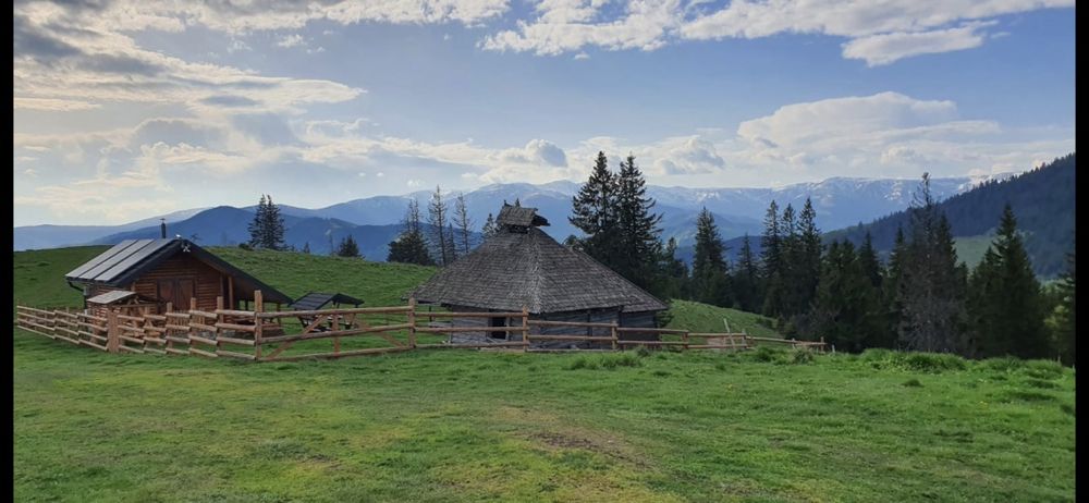 Teren izolat munte Leresti, Arges