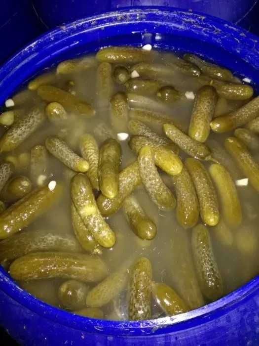 vand castraveti murati