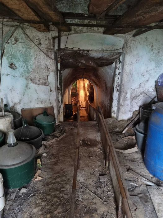Vand pivnita in Episcopia Bihor
