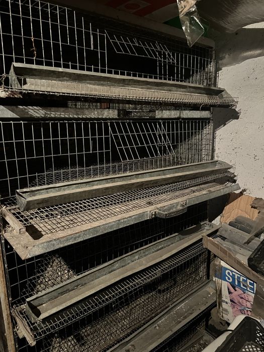 Клетка перепелов