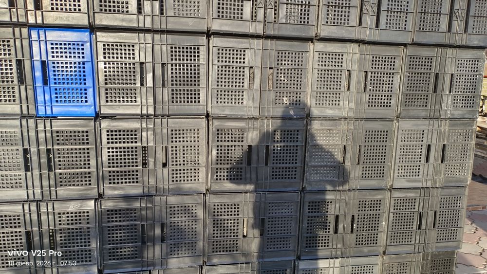 Ящики корзины пластиковые