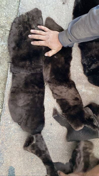 Продам натуральную цигейку
