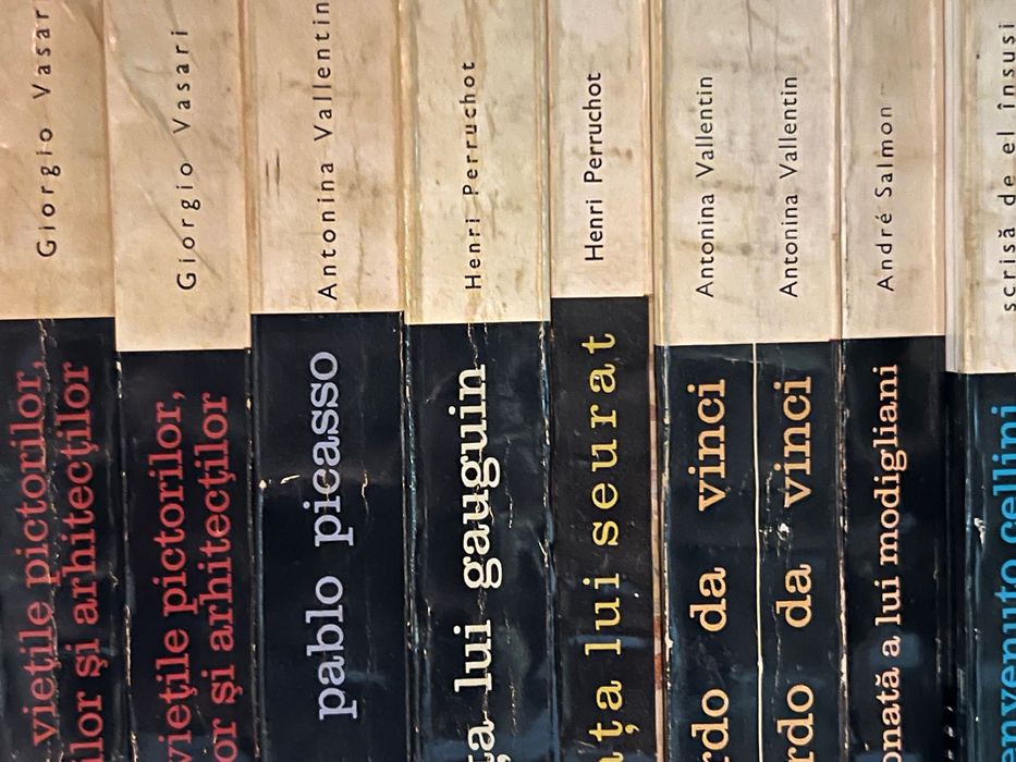 Colecție masivă Biblioteca de artă (550 volume) - Editura Meridiane