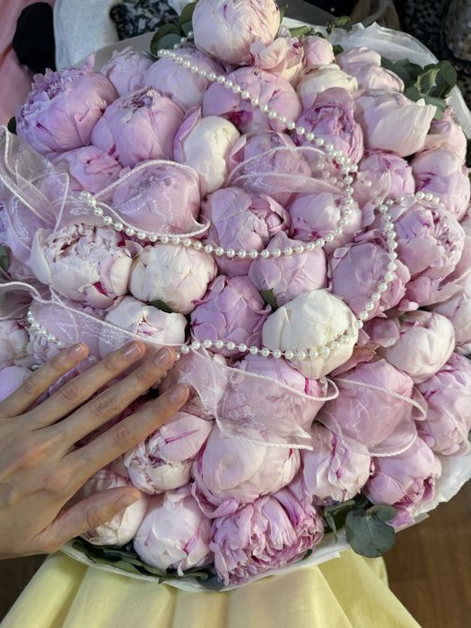 Пионы свежие 60к