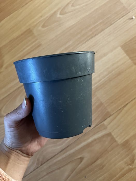 Саксии / сандъчета за разсад 60бр. 15€