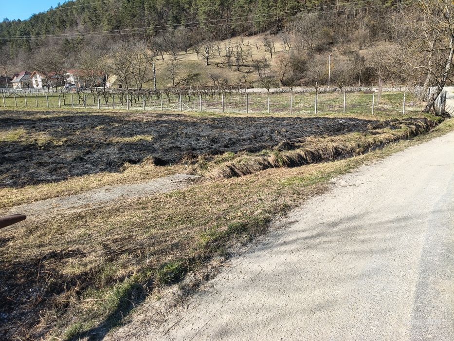 Vând teren intravilan Buciumi