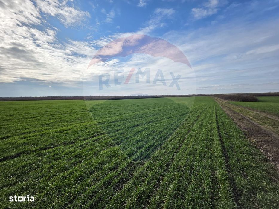 Vânzare teren agricol 12 ha, Giarmata - Jud. Timiș