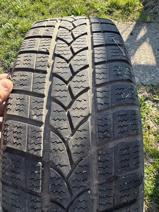 Roti 15 Dacia/Renault 195/65/15