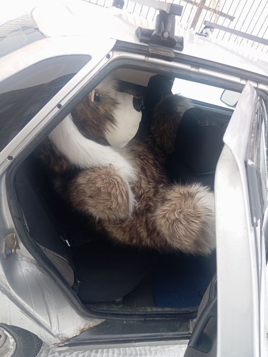 Продам мягкая игрушка