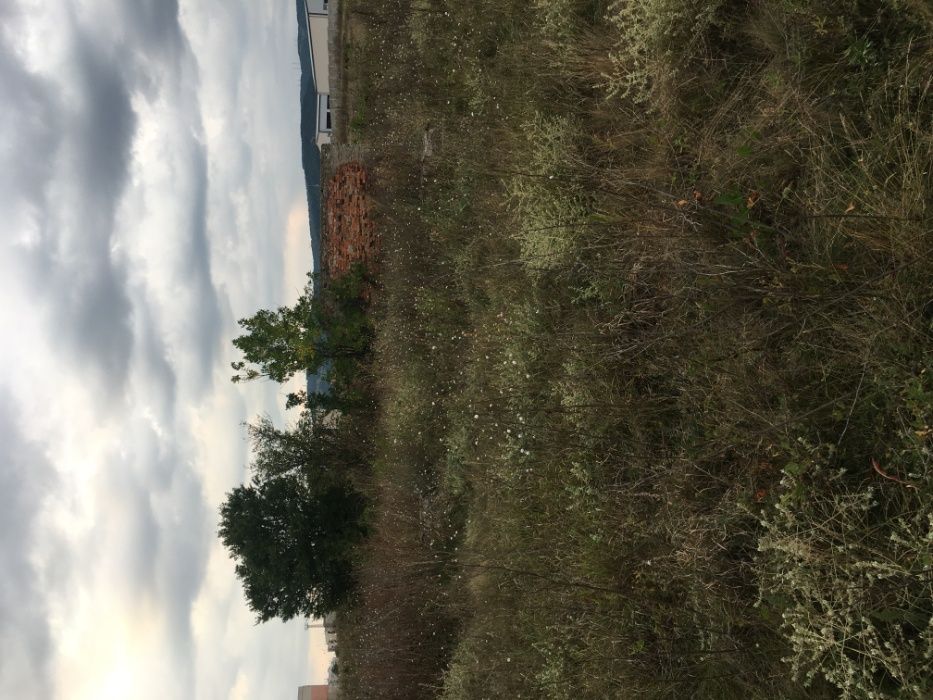 Продава се Парцел в Радомир - 6020 кв.м за 18 €/кв.м - Снимка #5