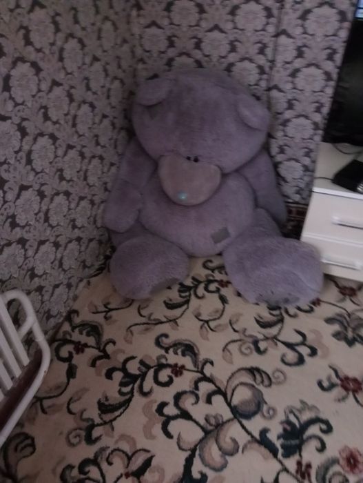 Тедди    айиги. ..