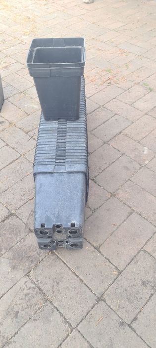 Vand URGENT Ghivece  5 litri