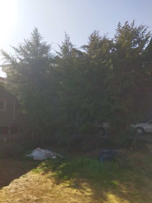 Эхсонга трекинга 4 та Арча