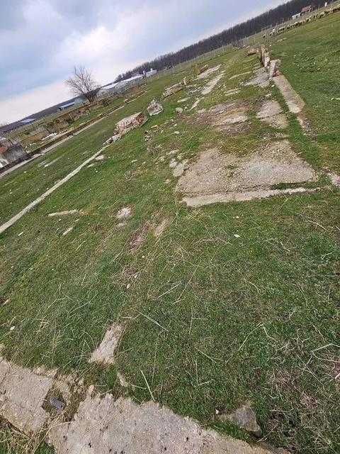 Teren intravilan Miersig