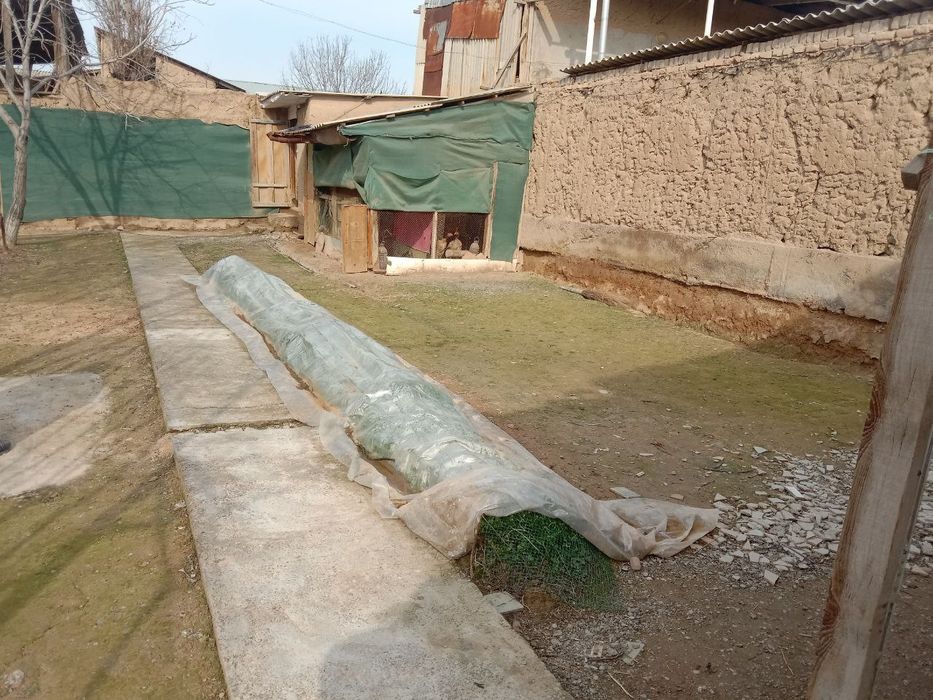 Elon yer sotiladi 4 sotuk