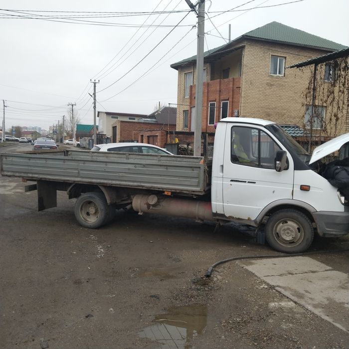 Газель бартавой 4-20