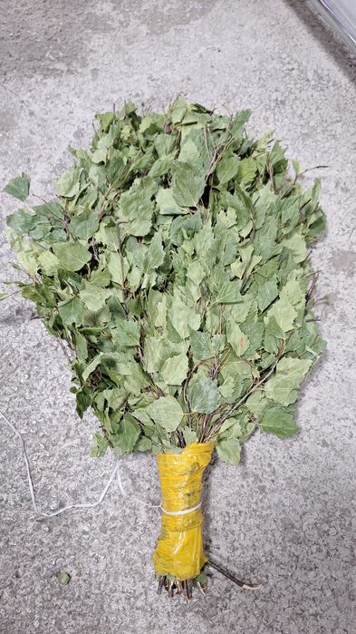 Веник для бани и сауна