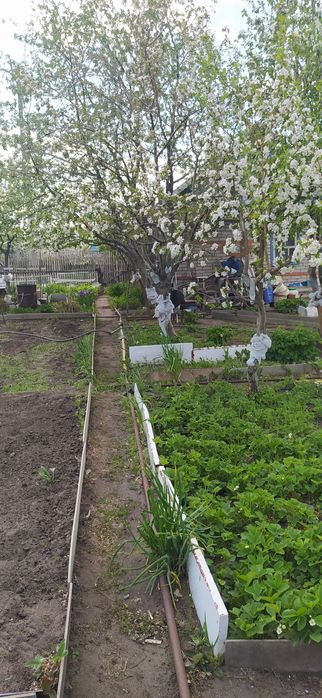 Продам дачу СО"Железобетонщик"