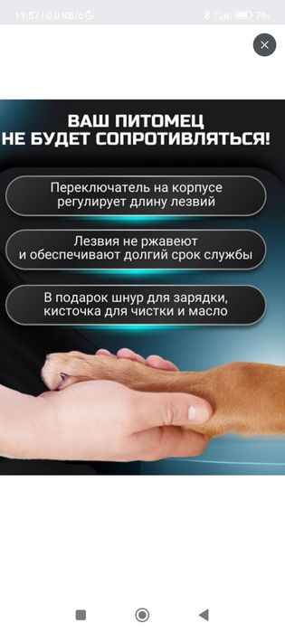 В наборе для стрижки животных есть ножницы для подравнивания волосков