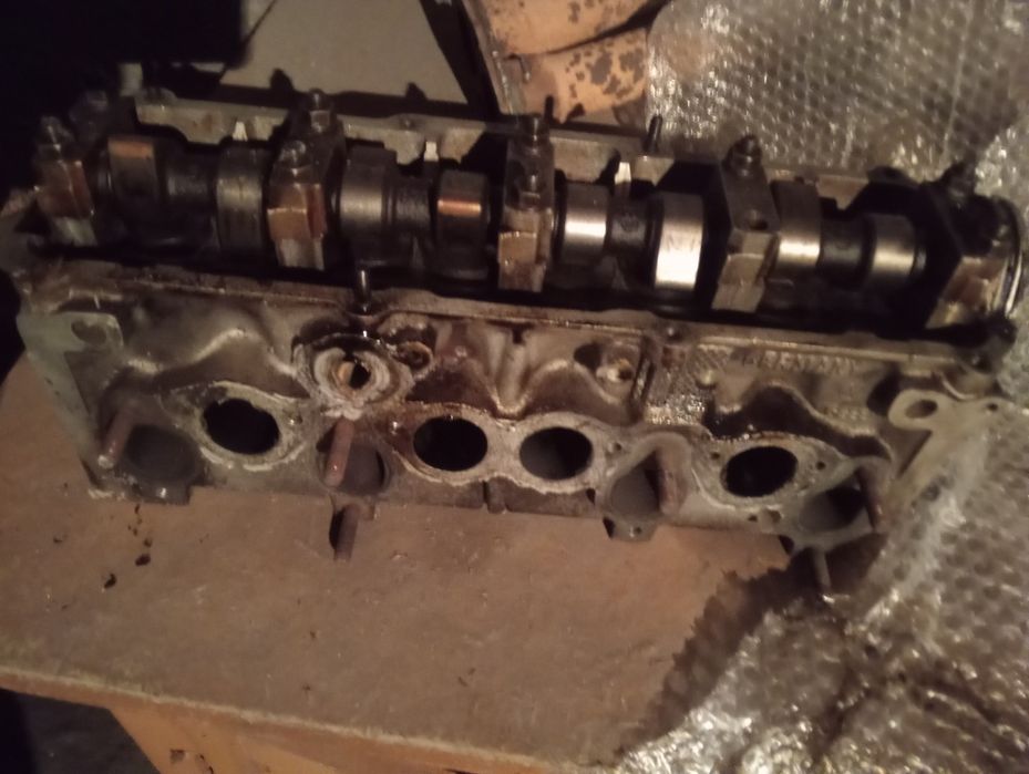 продам 2 галовка Мона