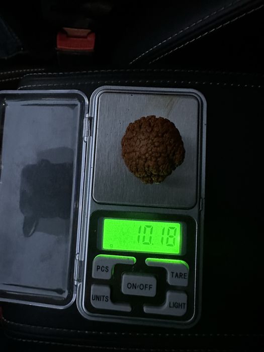 Сиырдын өт тастар