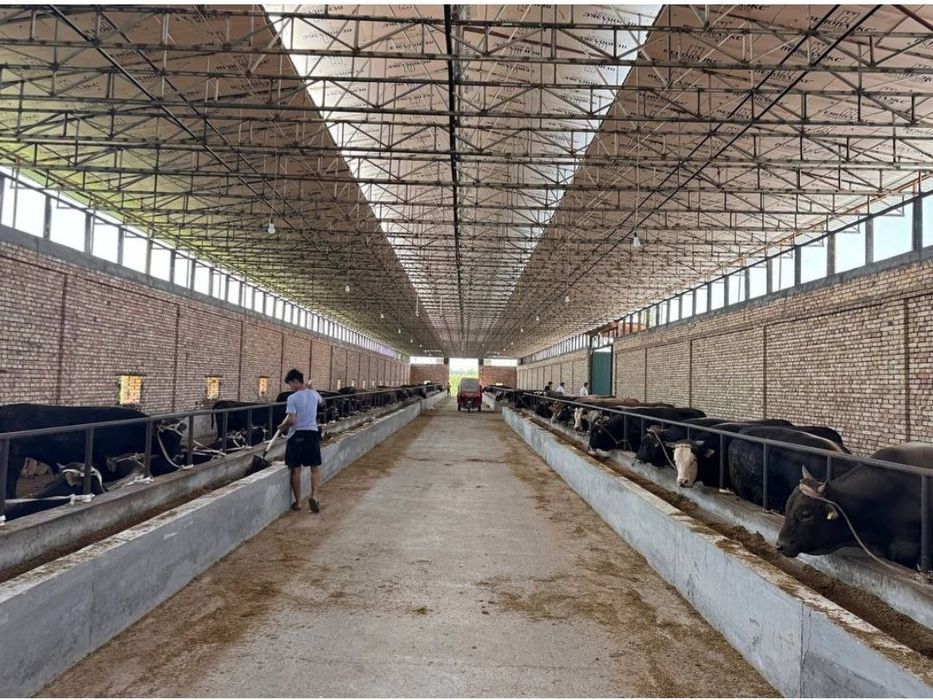 Biz sizlar uchun xar xil turdagi tom naves katta binolardi ustunsiz yo