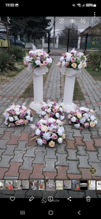 Inchiriez cort si decorațiuni