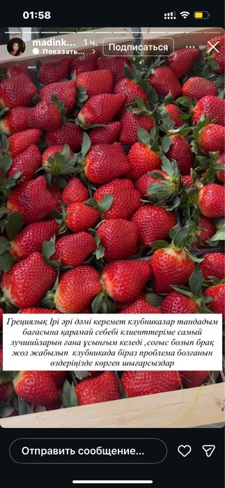 Клубника в шоколаде