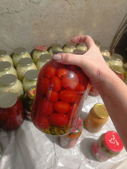 Продам соленье этого года
