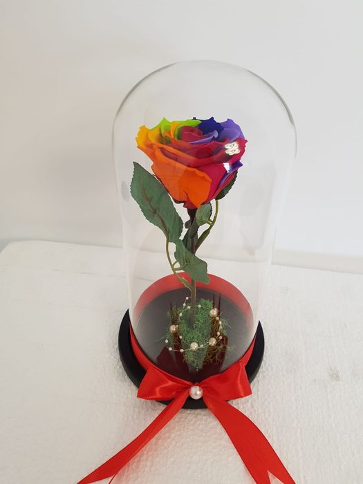 Trandafir criogenat 25 cm multicolor