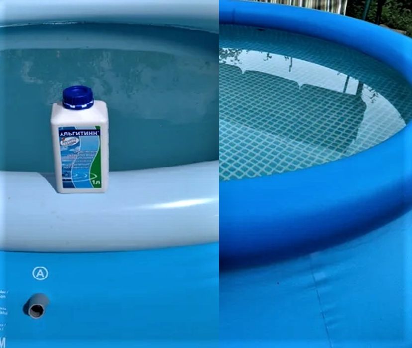 Альгитин маркопул