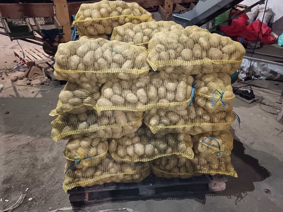 Продавам картофи сорт "Сорая" 0.85 лв